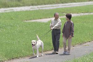 美しい婚約指輪をいわき市のショップで