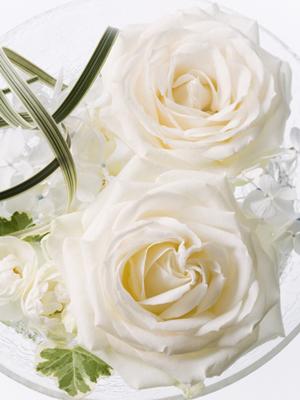 結婚式の輝く瞬間を永遠に残すお手伝い