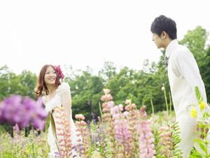 とても安心できる相談所はここです