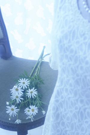 【徹底解説】名古屋で信頼できる結婚相談所を見つける方法と成功の秘訣