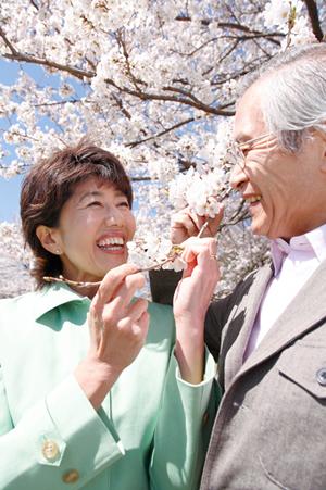 福岡の結婚指輪の品揃えと価格について